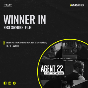 Best Swedish Film